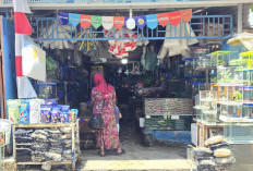 Pasar Hobi Segera Direlokasi, Eks Terminal Todopuli Disulap Jadi RTH
