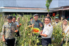 Dari Kebun Lapas ke Gerakan Kota: Mimpi Besar 459 Kebun untuk Makassar