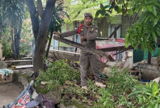 Lapak PKL di Jalan Kartini Ditertibkan Setelah Berdiri 25 Tahun di Atas Drainase