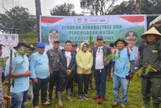 Atensi Pembalakan Liar, KPH Jeneberang Sisir Kawasan Hutan di Gowa 