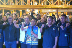 Syaharuddin Alrif Pimpin Konsolidasi  NasDem Sulsel  di Luwu Raya, Bidik Kemenangan Lebih Besar
