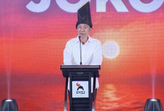 Jokowi: Saya Akan Bekerja Habis-habisan Besarkan PSI