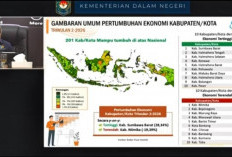 Dari 4S ke 5S, Sidrap Bertransformasi Jadi Daerah Percontohan Perekonomian di Indonesia