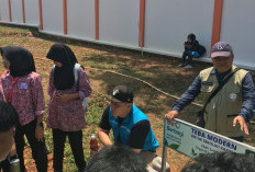Sampah sebagai Guru, Sekolah sebagai Laboratorium Ekologi
