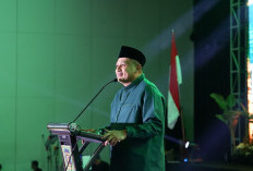 Appi Kenang Peran PPP dalam Karier Politiknya