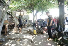 Sejumlah Lapak PKL di Tiga Titik Kecamatan Tallo Ditertibkan