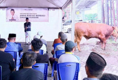 Semangat Berbagi di Hari Raya, Rudianto Lallo Kembali Berqurban 11 Ekor Sapi untuk Warga Sulsel 1