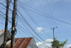 Ratusan Tiang My Republic Berdiri Ilegal di Takalar, Dinas PU Siap Cabut Izin