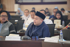 Munafri Bawa Aspirasi Pengembangan Industri dan Wisata Kepulauan Makassar ke DPR RI