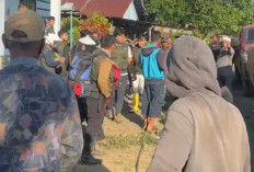 Siasat Licik APL, Premanisme Berkedok 