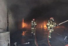 Breaking News: Gudang Penyimpanan Minyak Nilam di Tamalanrea Terbakar, Damkarmat Kerahkan Puluhan Armada