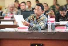 Depan Baleg DPR, Bupati Sidrap Sentil Pemerintah Pusat: Jangan Banyak Istilah Kemiskinan