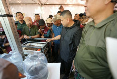 Tuntas di 14 Kecamatan, Jelajah Sampah Makassar Kumpulkan 1.506 Kilogram Sampah