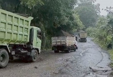 Poros Malino Tambah Parah, Truk Pupuk Terguling Gegara Jalan Rusak 