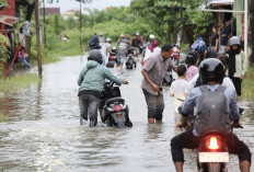 Pantau Banjir Di Wilayah Katimbang dan Paccerakkang, Appi: Kita Akan Carikan Solusi