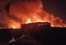 BPBD Makassar: Kebakaran di Baraya Hanguskan 37 Rumah, 245 Jiwa Kehilangan Tempat Tinggal
