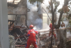     Damkarmat Makassar Catat 402 Kasus Kebakaran Hingga Oktober
