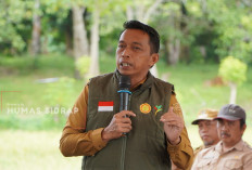 Operasikan Combine Harvester, Bupati Syaharuddin Panen IP 300 di Desa Mario