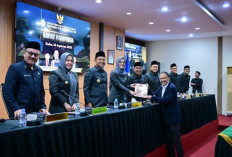 Legislator NasDem Mizar Roem Puji Andi Sudirman, Pembangunan Sulsel Dinilai Semakin Merata