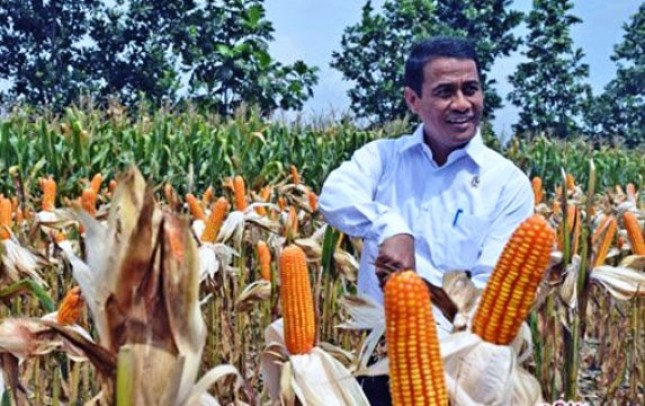 Andi Amran Sulaeman  akan Bangun Pabrik Pengolahan Jagung di Bone .