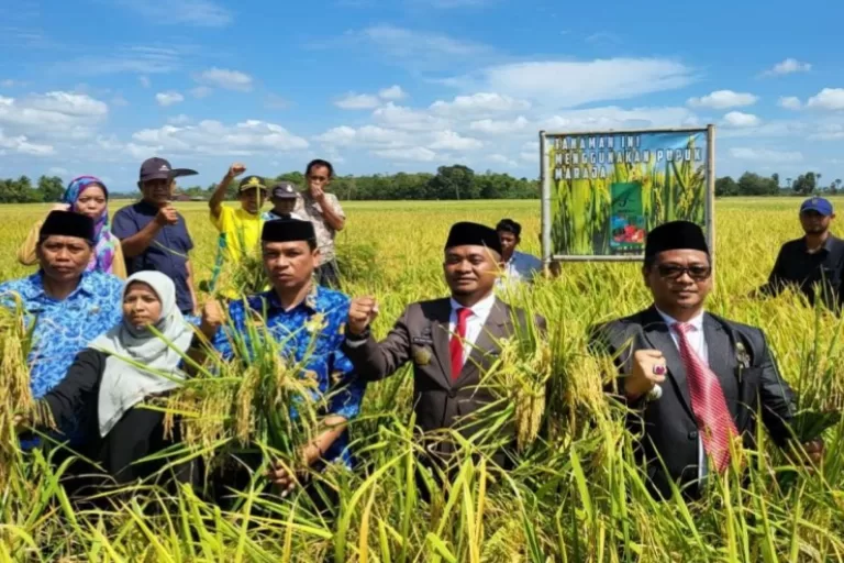 Perubahan di Sektor Pertanian, Kadis Asman Dorong Petani Milenial