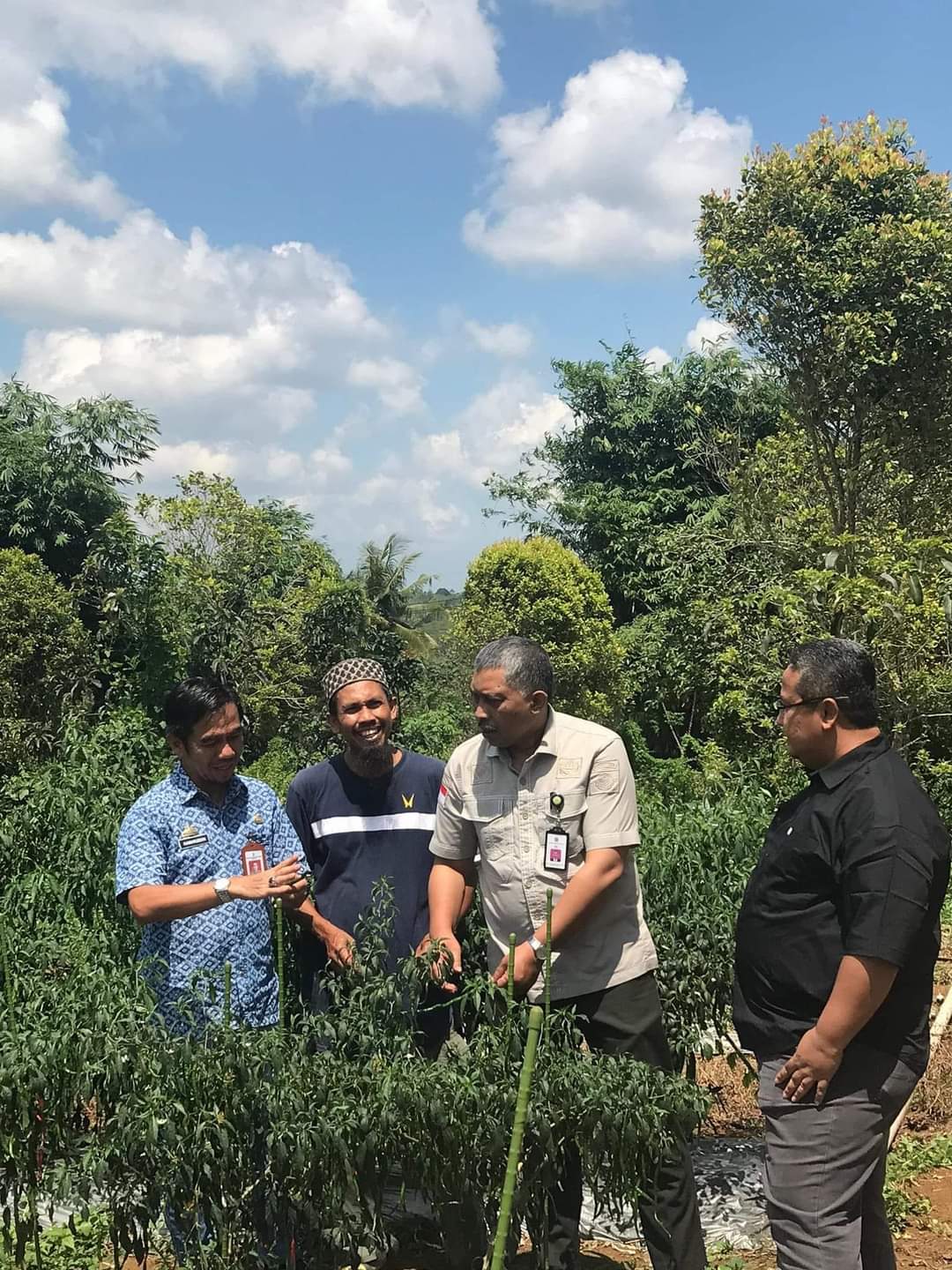 Dirjen Hortikultura Kementan RI Kunker ke Sinjai, Monitoring Bantuan Yang Disalurkan