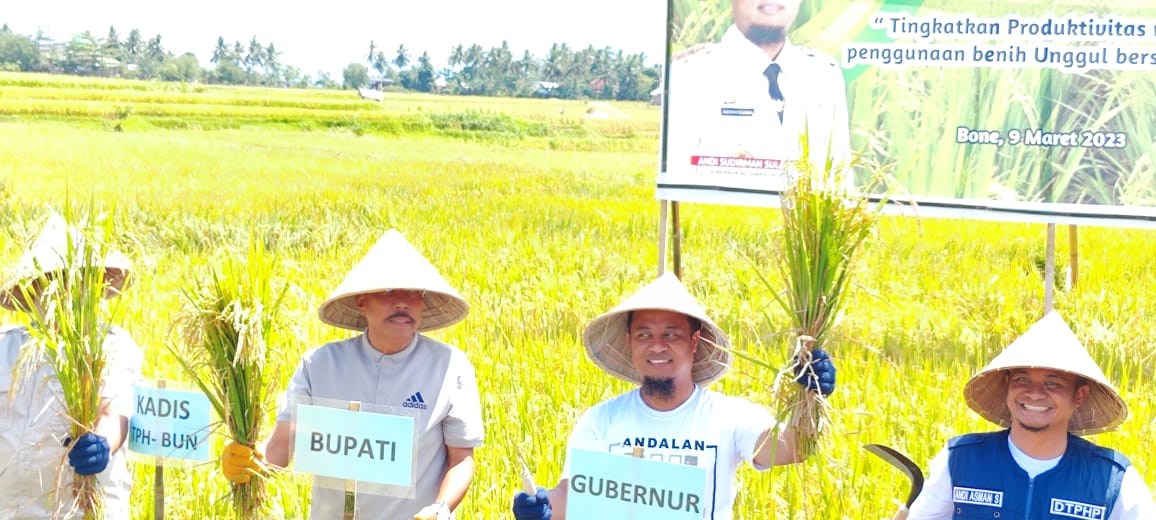 Penyuplai Beras Tertinggi  di Sulsel Gubernur  Apresiasi Kontribusi  Petani  dan Penyuluh  Bone