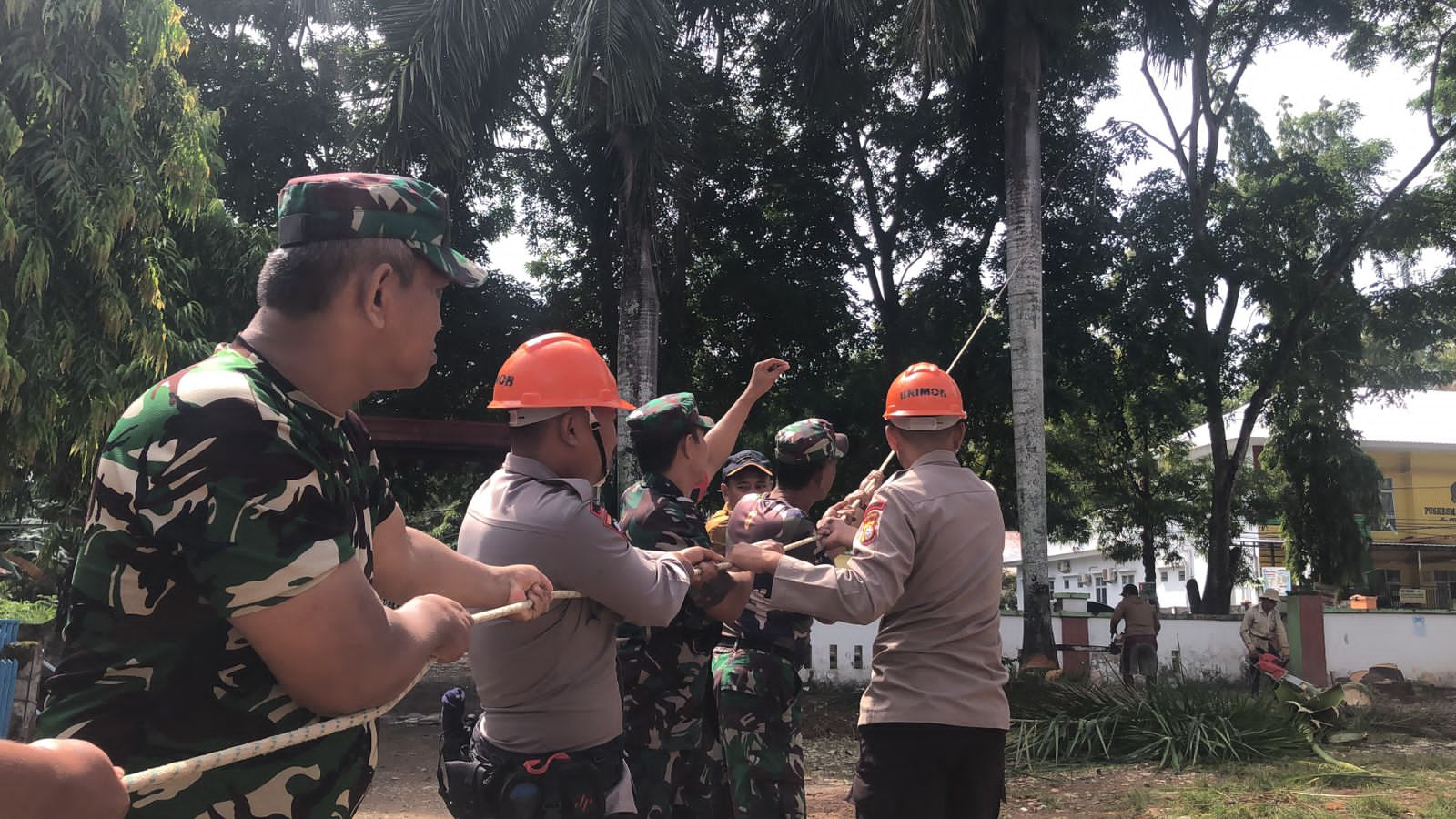 Brimob Bone dan Koramil Barebbo  Kompak Tumbangkan Pohon Berukuran besar