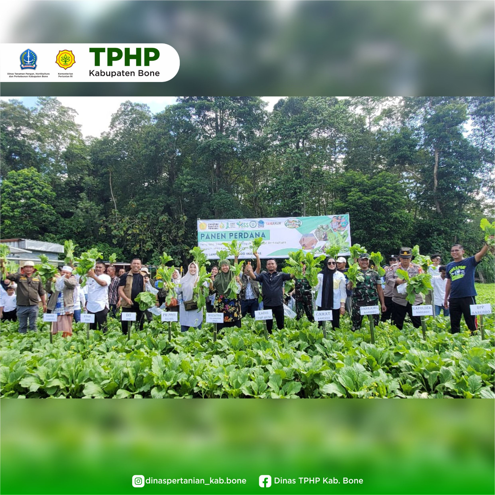 Desa Lampoko ,Bakal Jadi  Penyuplai Sayur dan Buah  di Sulsel