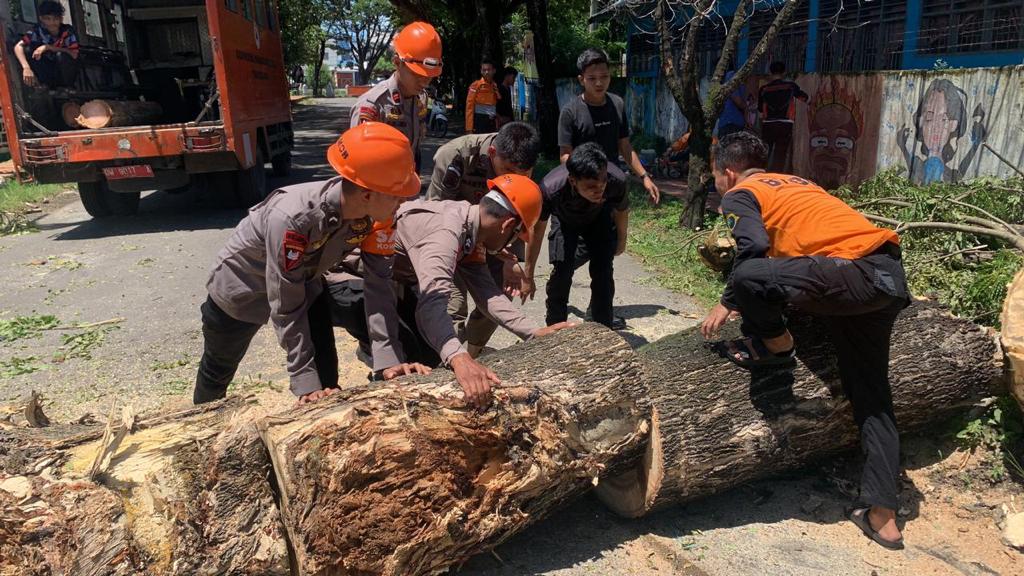 Bahayakan Pengguna Jalan, Tim SAR Brimob  Evakuasi Pohon Tumbang di Jalan Lappawawoi Bone