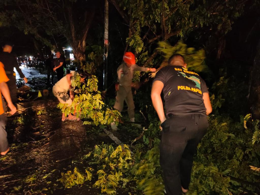 Respon Cepat Tim SAR Brimob Bone Evakuasi Pohon Tumbang di Jalan Poros Bajoe