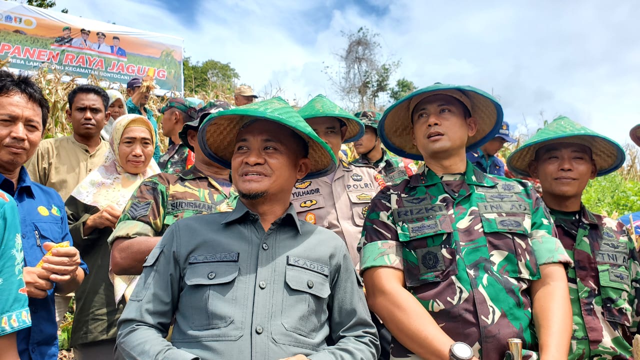 .Berkat  kinerja Keras Andi  Asman ,Jumlah Desa Rentang Pangan  diBone berkurang