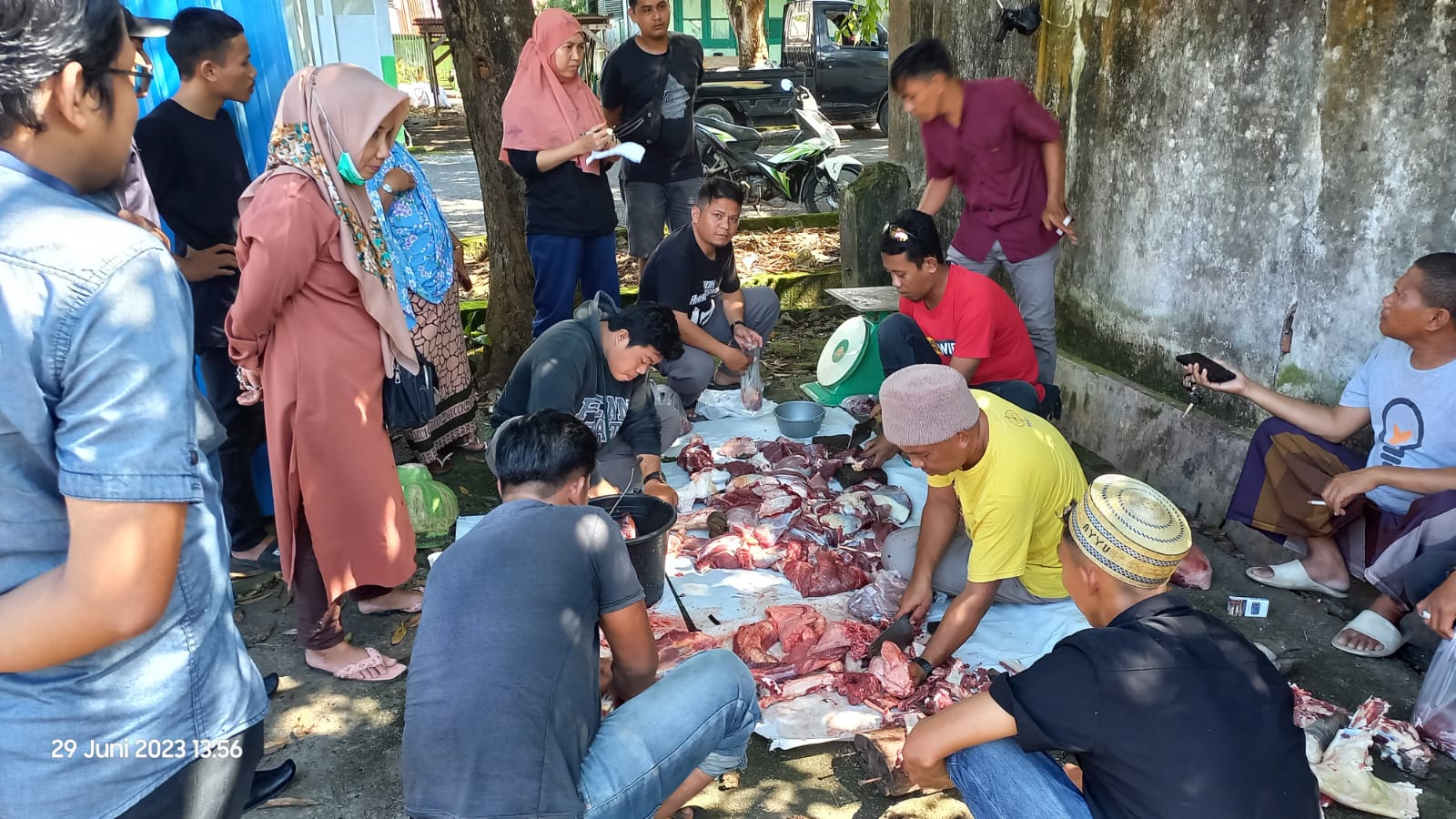 Ketua Tim Penggerak PKK Bone Sumbang  Satu Sapi  Untuk Wartawan Bone .