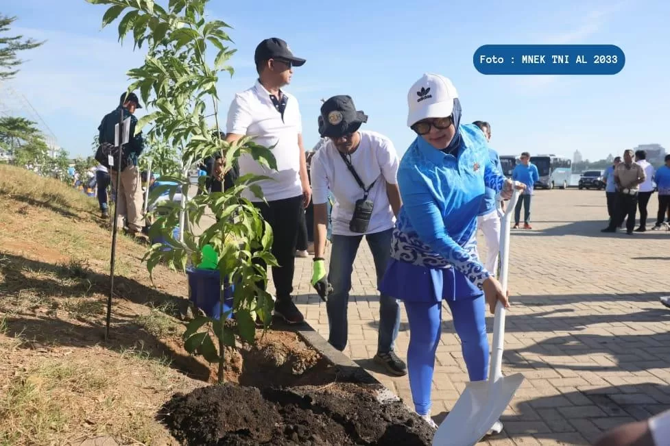 Ratusan Pohon Tabebuya Bakal Ditanam Saat Gelaran APEKSI XVI di Makassar