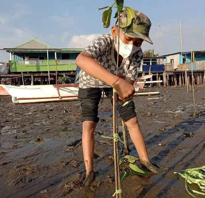 Cegah Kerusakan Lingkungan, FKH dan Sintalaras Kolaborasi Lestarikan Mangrove