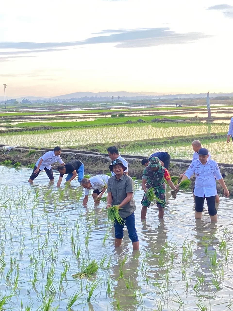 Andalkan Pompanisasi, Petani Solo Tanam Padi Pertama di Lahan Seluas 2.600 Hektare