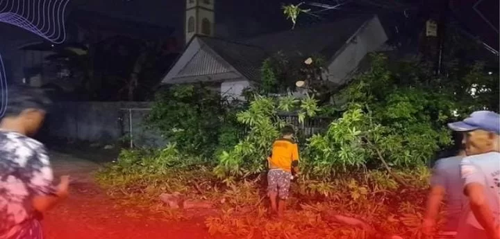 Satgas Kecamatan Bersihkan 4 Titik Pohon Tumbang di Manggala