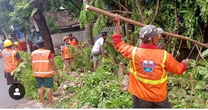 Camat Makassar Instruksikan Pangkas Pohon di Musim Hujan