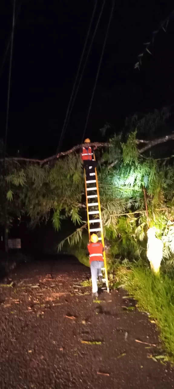 Curah Hujan tinggi, PLN Sinjai Recovery 10 Titik Gangguan Akibat Pohon Tumbang