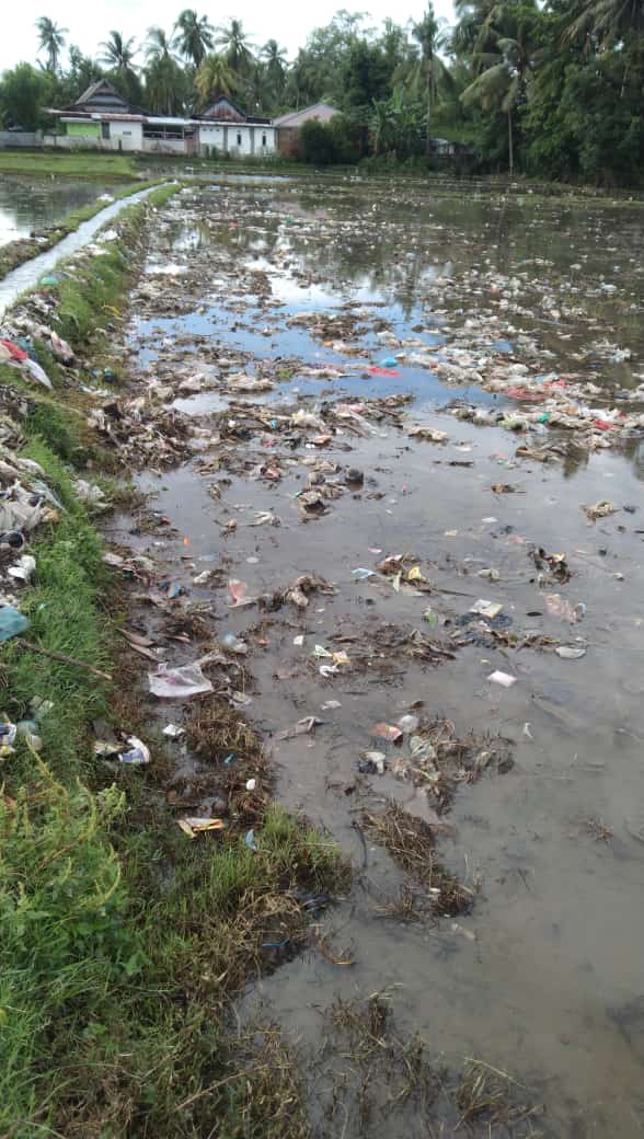 Musim Hujan, Sampah Pasar Bojo Kotori Sawah Petani