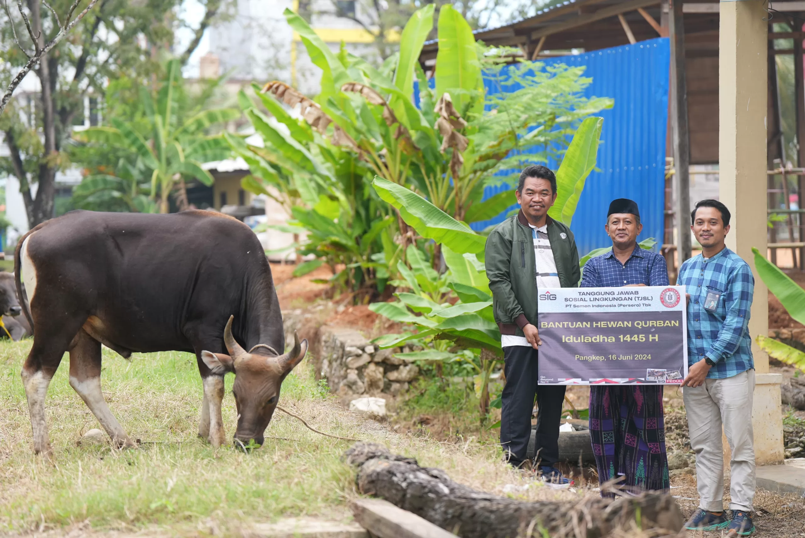 PT Semen Tonasa Salurkan Bantuan 31 Hewan Kurban ke Desa Sekitar Perusahaan