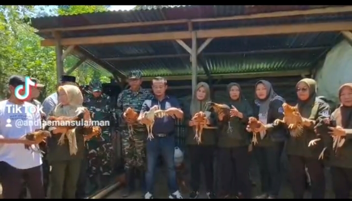 Kadis TPHP Ikuti Panen Ayam Kampung di Cenrana .