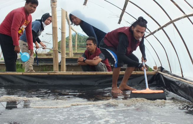 Kolaborasi Dosen UMI dan Unsulbar Iidentifikasi Garam Rakyat Lingkungan Barane