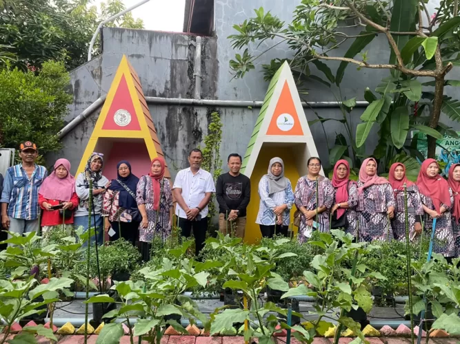 Tingkatkan Produktivitas Holtikultura di Lorong Wisata Makassar