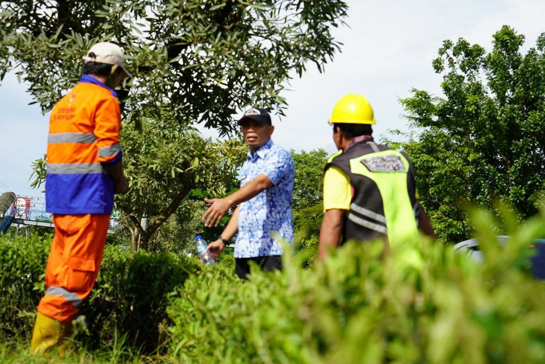 Camat Tamalanrea Pantau Langsung Pembenahan Median Tengah