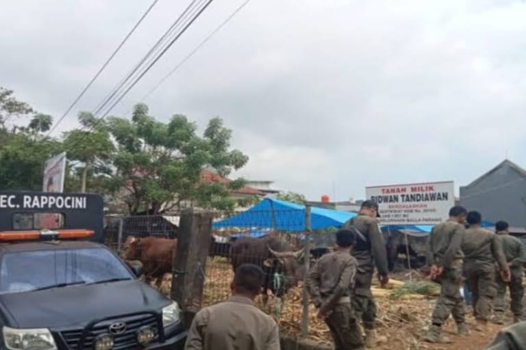 Satpol PP Makassar Tertibkan Lokasi Jual-Beli Ternak