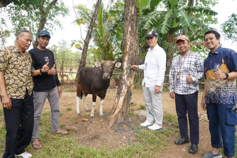 Jelang Idul Adha, PT Semen Tonasa Sumbang 41 Hewan Kurban ke Masyarakat