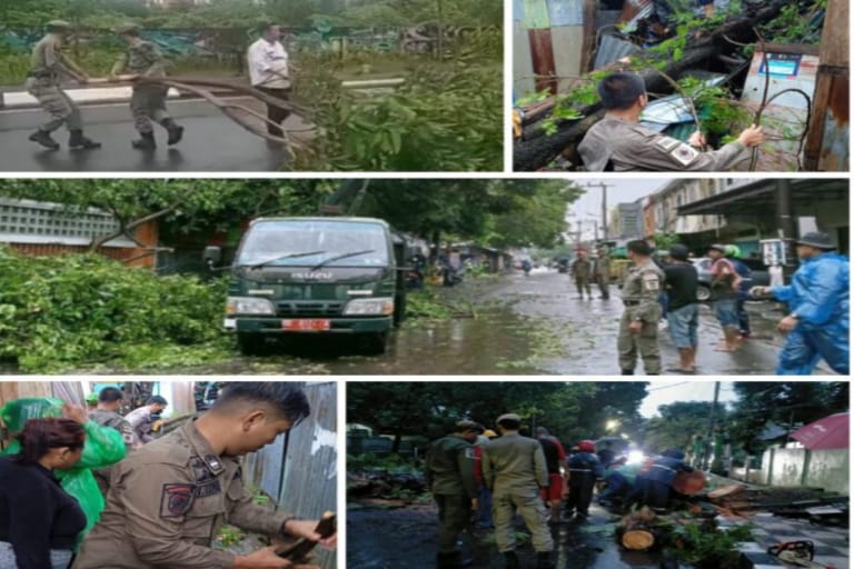 Satpol PP Bantu Evakuasi Pohon Tumbang