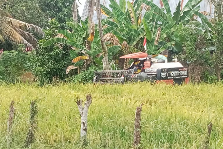 Puluhan Desa di Bone Terancam Kekeringan, Warga Mulai Kesulitan Dapatkan Air Bersih