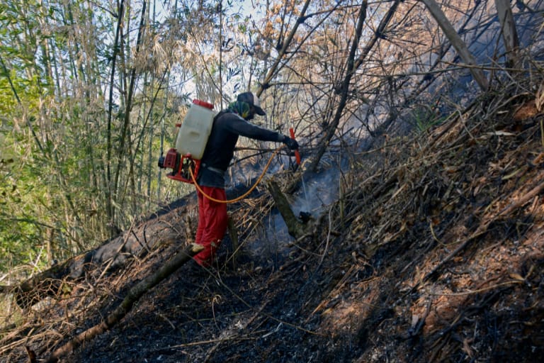 Damkar Kesulitan Atasi Kasus Kebakaran Hutan dan Lahan